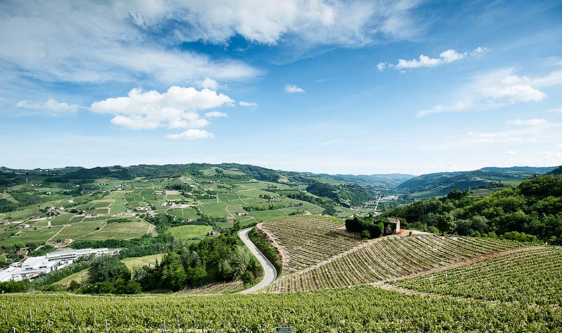 Experience Italy Travels in Langhe Monferrato